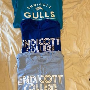 Endicott College set of three Tshirts women’s size large